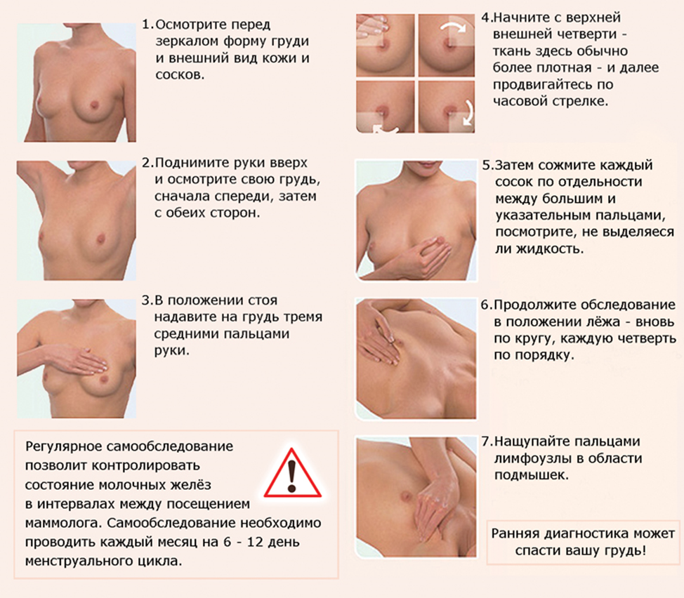 характеристика по женской груди фото 76